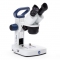 ED.1302-S Euromex stereo microscope EduBlue