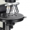 86.741 Novex Trinocular microscope BTSP with circular stage for polarization