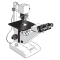 FE.2910 Euromex binocular inverted microscope for bright field