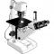 FE.2915 Euromex trinocular inverted microscope for bright field
