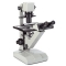 FE.2950 Euromex binocular inverted microscope for phase contrast