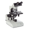 GE.3030 Euromex binocular microscope for bright field