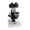 FE.2040 Euromex binocular microscope for phase contrast